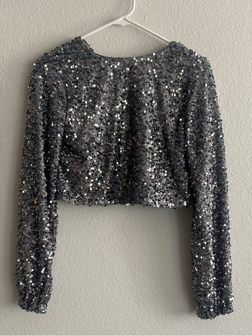 Silver Sequin Long-Sleeve Crop Top